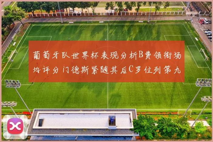 葡萄牙队世界杯表现分析B费领衔场均评分门德斯紧随其后C罗位列第九