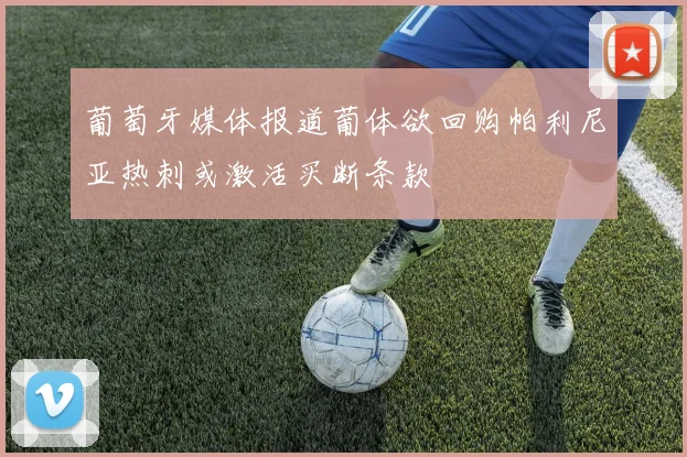 葡萄牙媒体报道葡体欲回购帕利尼亚热刺或激活买断条款