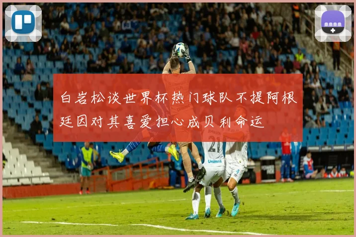 白岩松谈世界杯热门球队不提阿根廷因对其喜爱担心成贝利命运